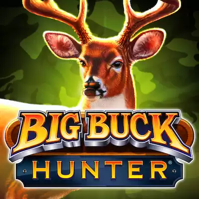 Big Buck Hunter